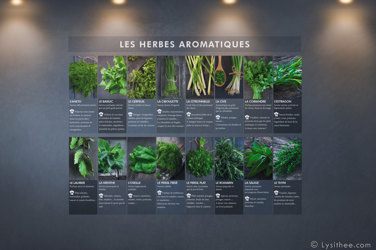 Information herbes aromatiques Primeur