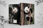 Agenda scolaire Bamboo Panda