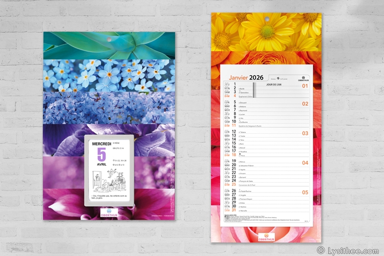 Plaques nova Fleurs, Colorama