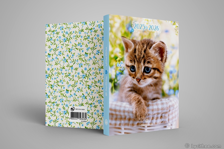 Agenda scolaire Chaton Fleur Bleue