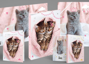 Scolaire Emotions 2025-2026