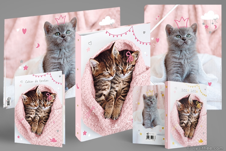 Rentrée scolaire Chatons Lovés