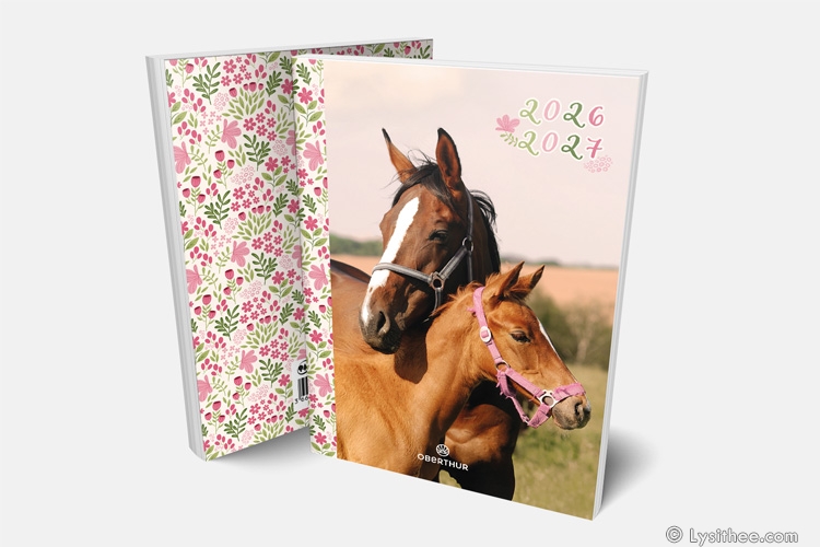 Agenda scolaire Jument & pouliche