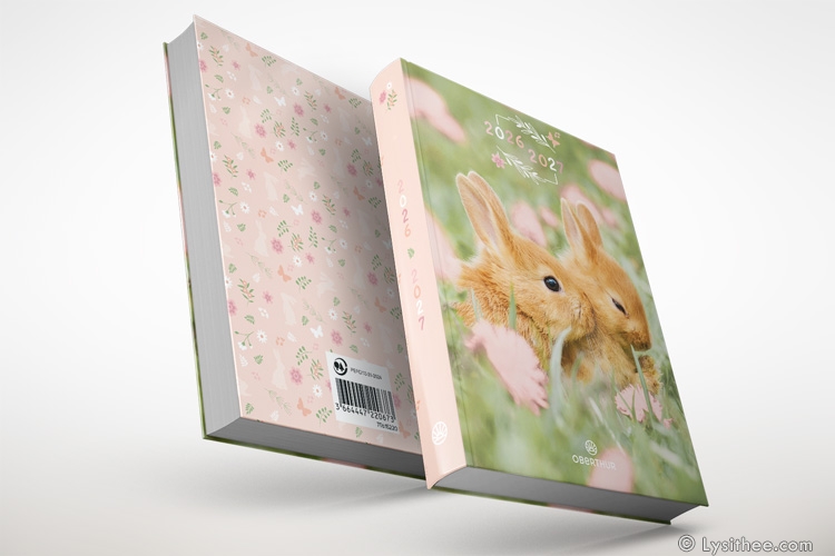 Agenda scolaire Lapinots